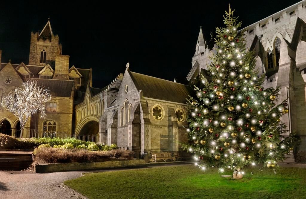 Christchurch lit up at night with a Christmas tree in front of it
